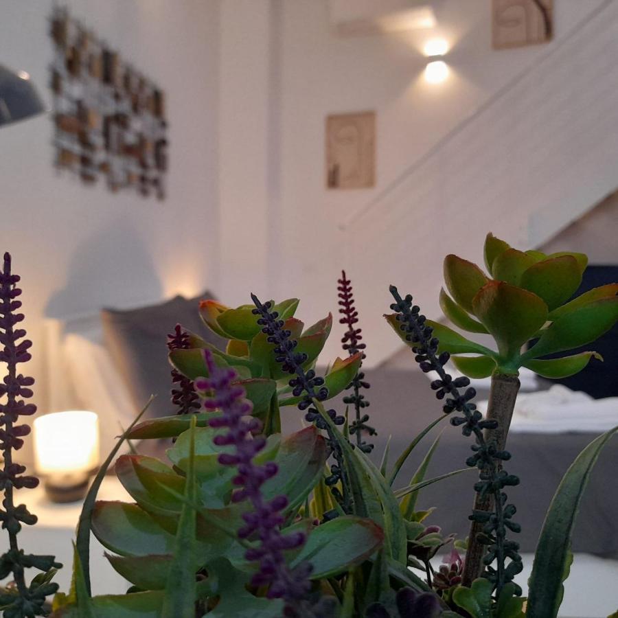 Apartmán Miriam Loft S.Orsola Boloňa Exteriér fotografie